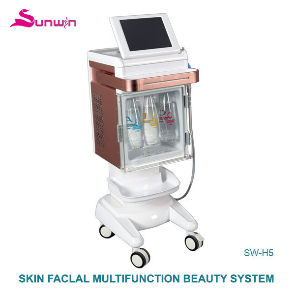 SW-H5 Oxygen Facial beauty machine aqua water facial remove acne skin moisturizing remove blackhead whitening machine salon use