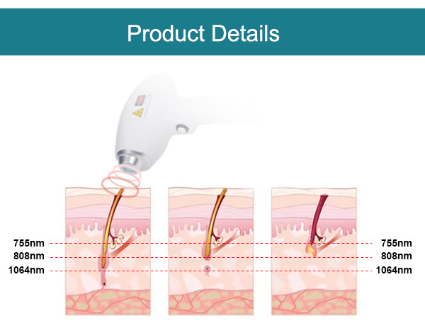 SUNWIN-professional 808nm diode laser equipment Triple wavelength 1064nm  755nm 808nm diode laser equipment supplier and exporter in China！