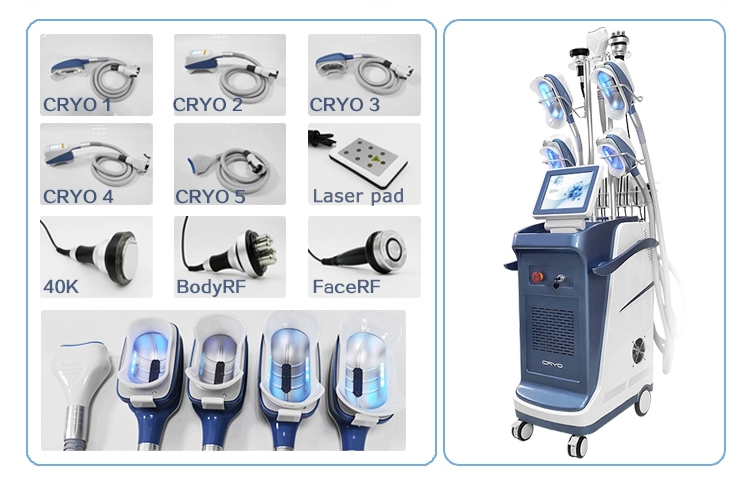 SUNWIN-professional cryolipolysis weight loss beauty equipment