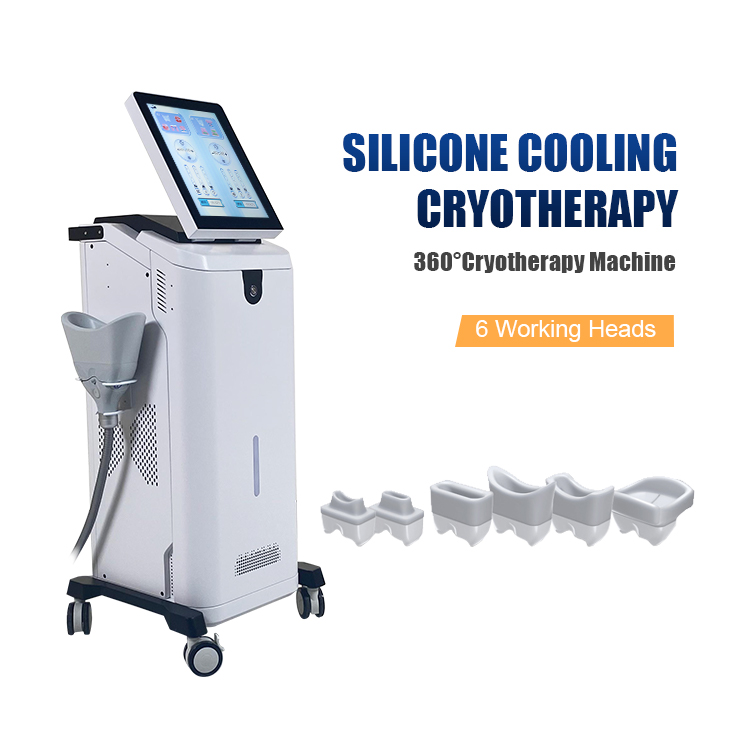 SW-360F-6 2 Handles 360 Degree Cryo Criolipolisis Cool Tech Cellulite Removal Machine